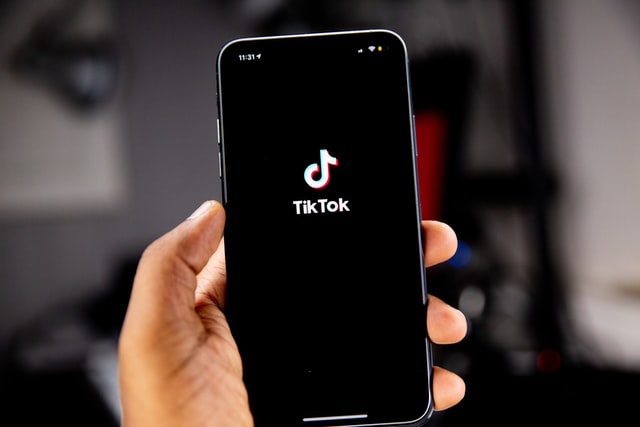 a-year-without-tiktok
