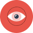 Vision Icon