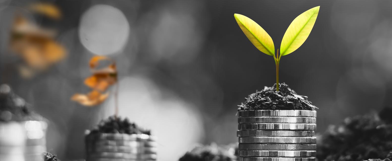 Financial Services