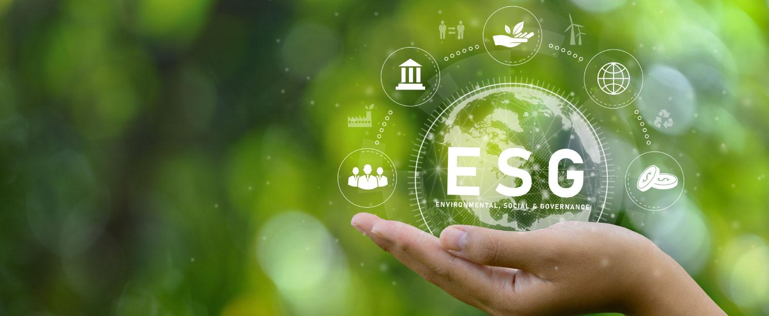 Social and Impact