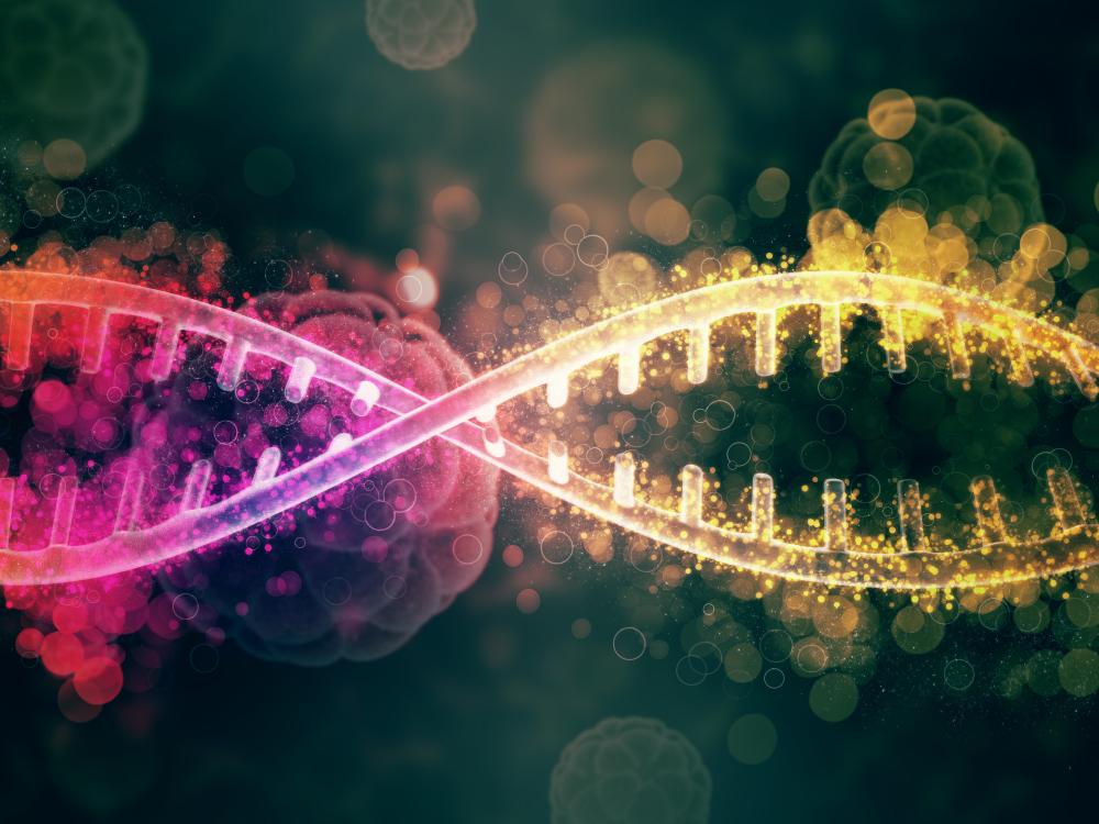 Healthcare & Lifesciences