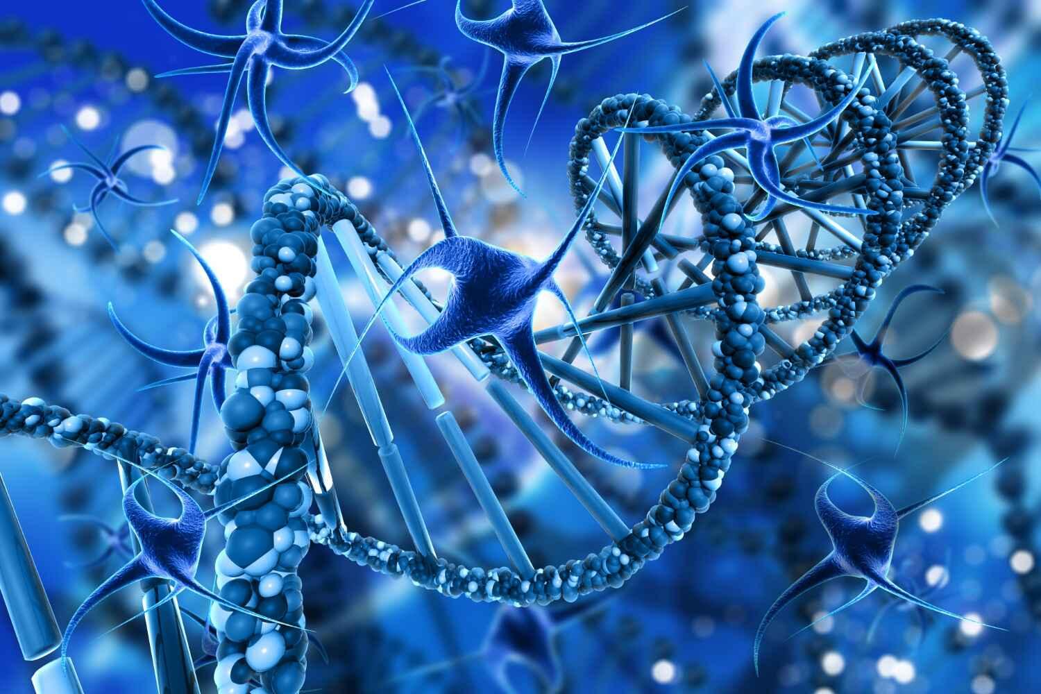 Healthcare & Lifesciences
