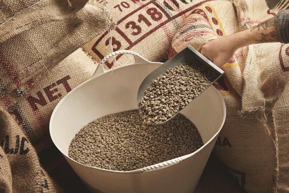Food and Agriculture