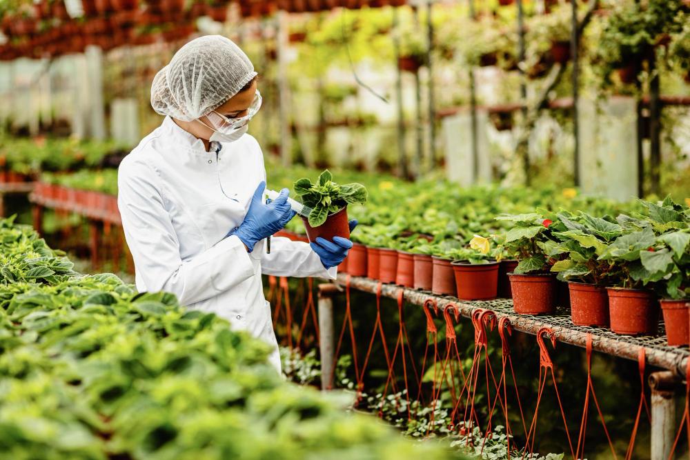 Food and Agriculture