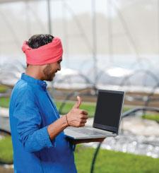 Food and Agriculture