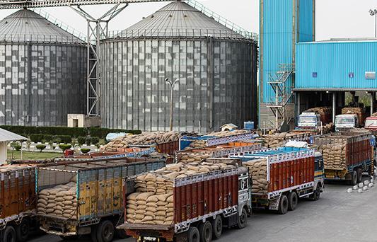 Food and Agriculture