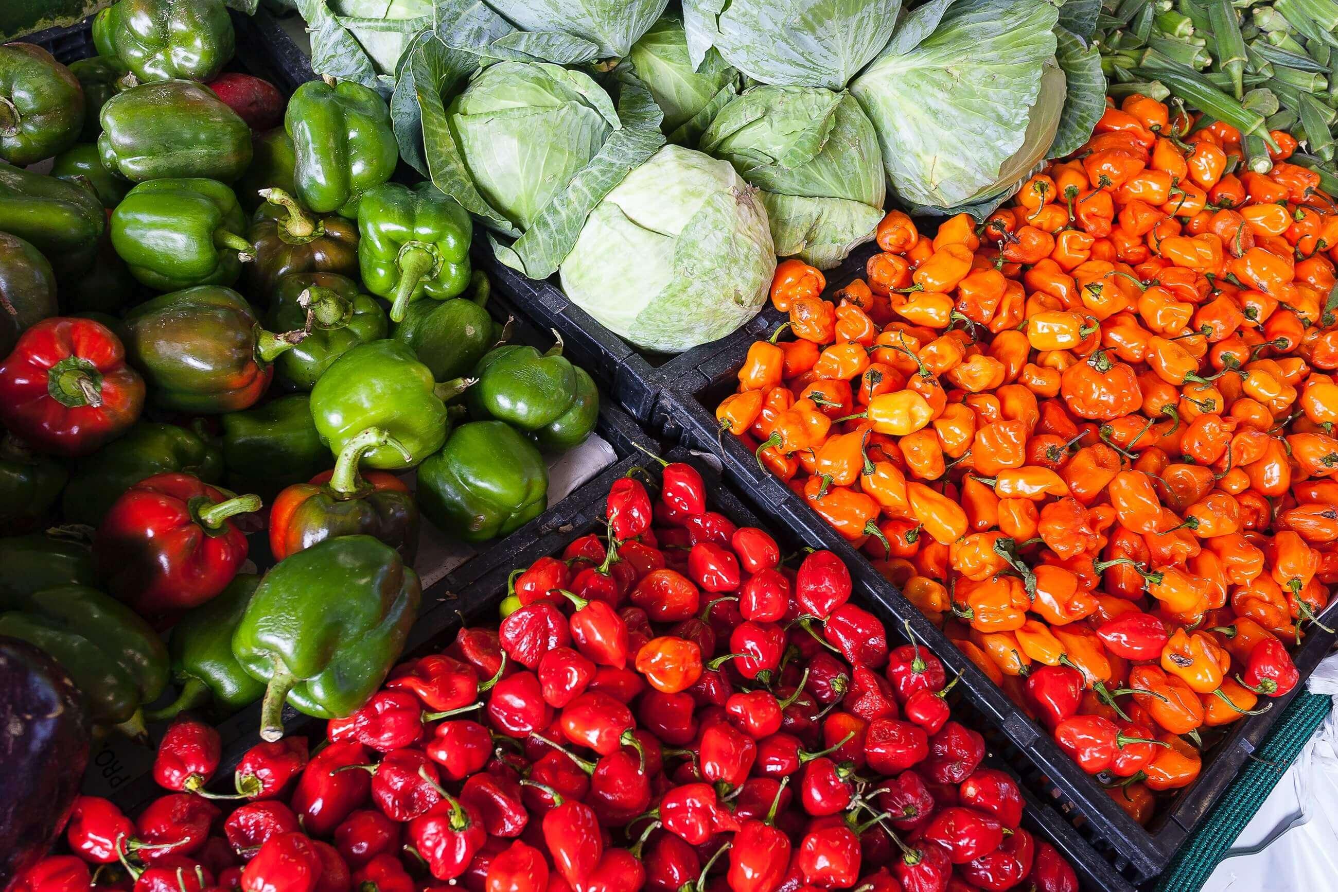 Food And Agriculture