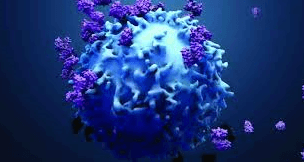 Healthcare and Lifesciences