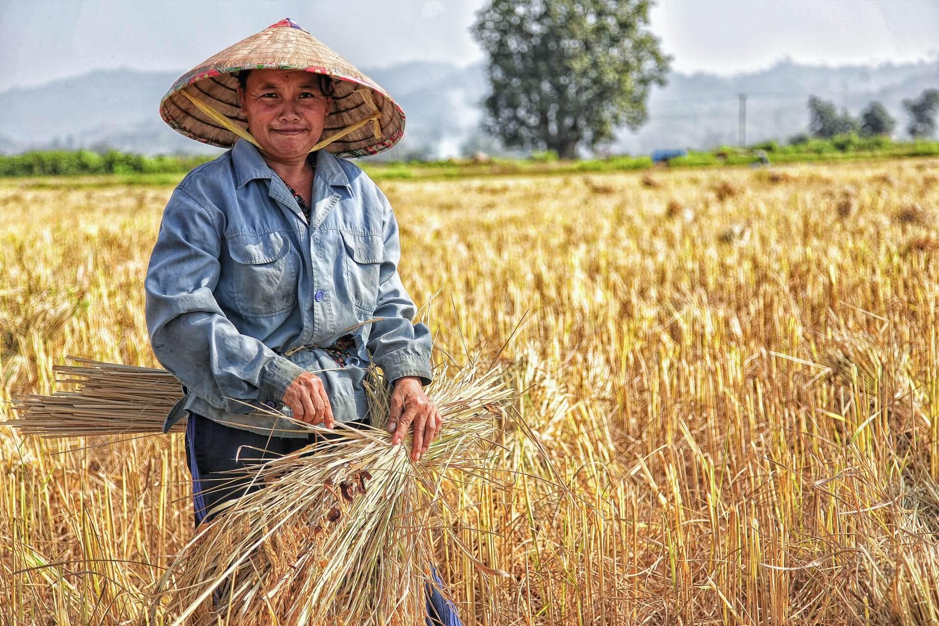 Food And Agriculture