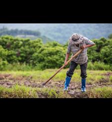 Food and Agriculture
