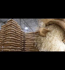Food and Agriculture