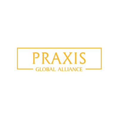 
	Praxis Reports & Publications: Business Consulting Services
